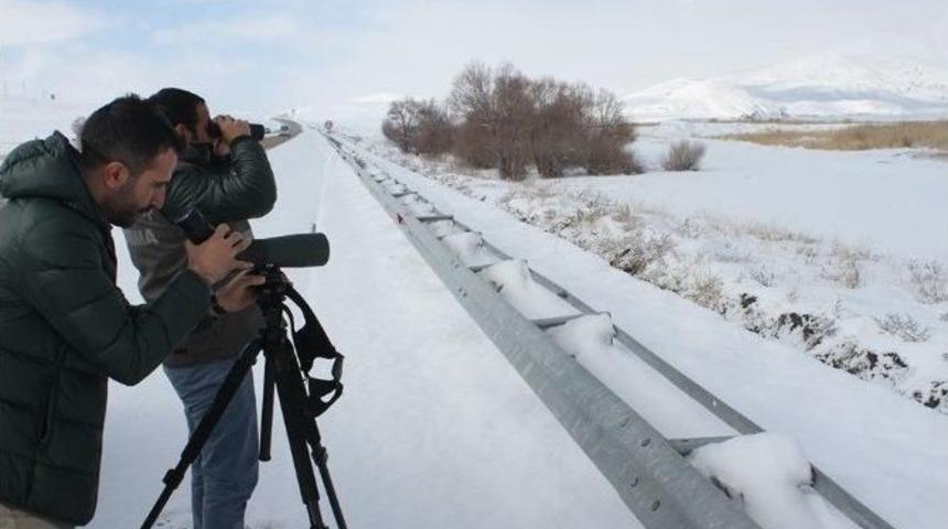 Van&rsquo;da Kış Ortasında Kosks &Ccedil;alışmaları Devam Ediyor