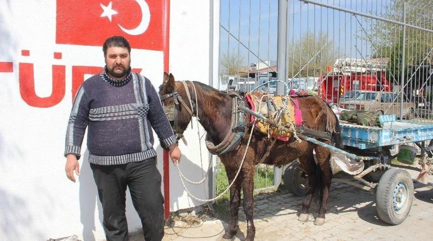 İncirliovalı At Arabacıları Dert Taşımaya Başladı