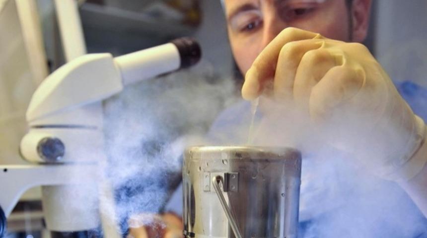 Embriyo Freezing (Embriyoların Dondurulması)