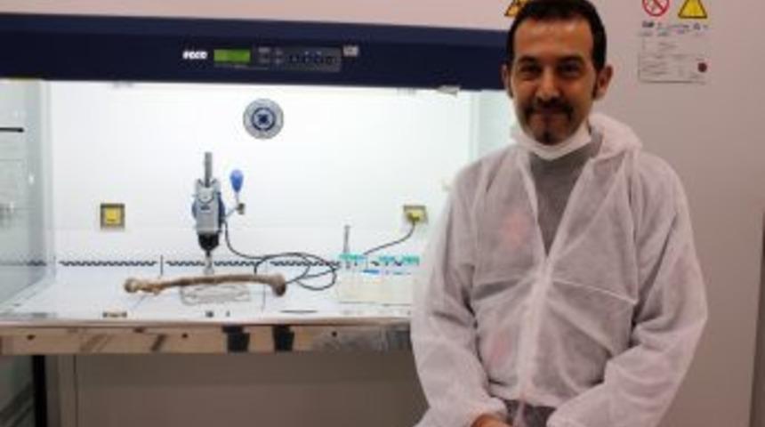 Antik Dna &Ccedil;alışmaları İle Kemik Par&ccedil;aları Kimliklendiriliyor