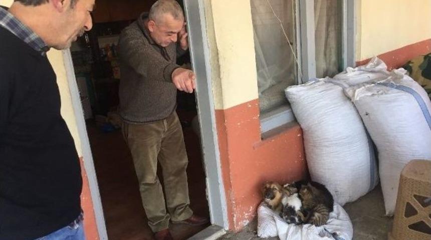 Bu Dostluk G&ouml;renleri Şaşırtıyor