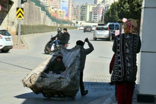 Kağıt Koplayan Suriyeli Kardeşler