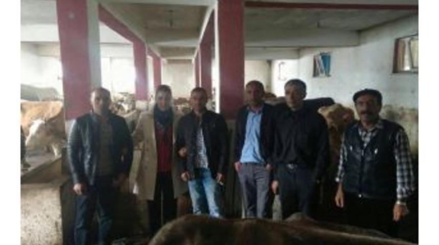 Ak Parti Damal İlçe Başkanı Derdiyok: "inananlar Kazanır"