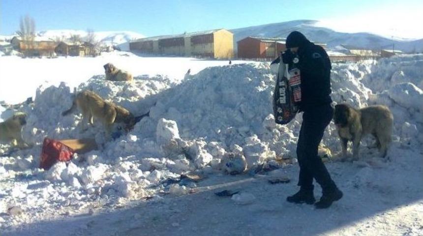 Polis Sokak K&ouml;peklerini Doyurdu
