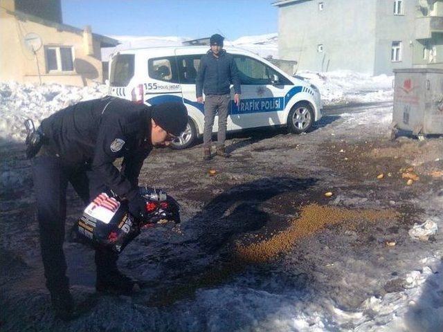 Polis Sokak Köpeklerini Doyurdu