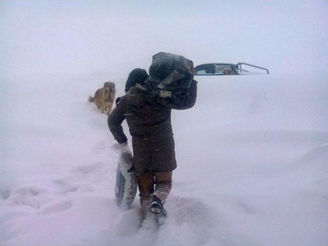 Polis Sokak Köpeklerini Doyurdu