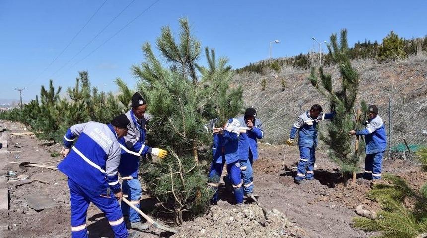 Altındağ Yeşile B&uuml;r&uuml;n&uuml;yor