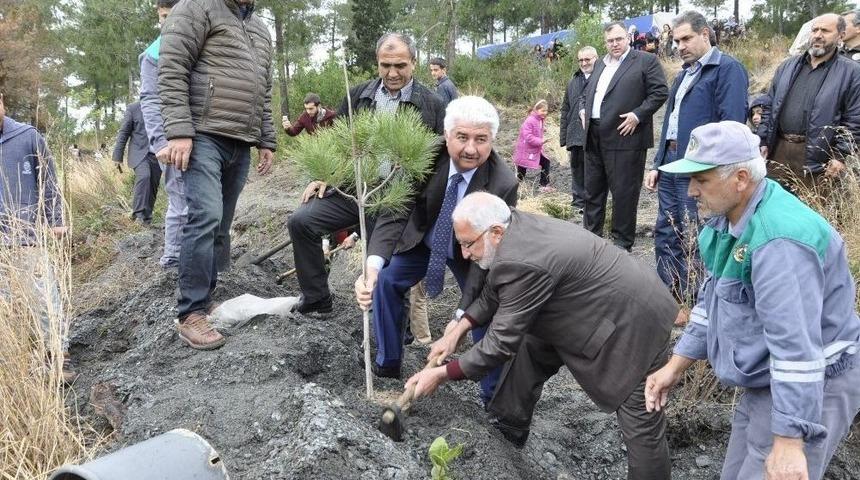 Şehit Polis Erin Anısına Hatıra Ormanı Kuruldu