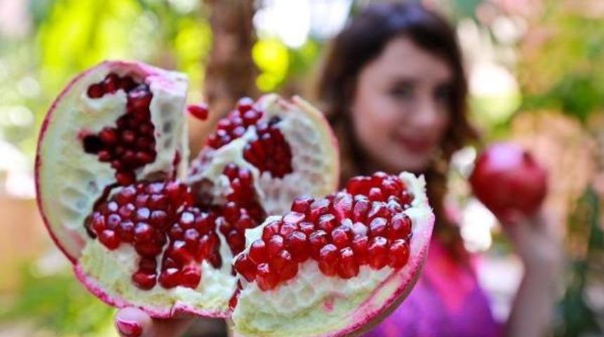 Sarımsak Ile Nar, Sağlık Ve G&uuml;zellik Iksiri