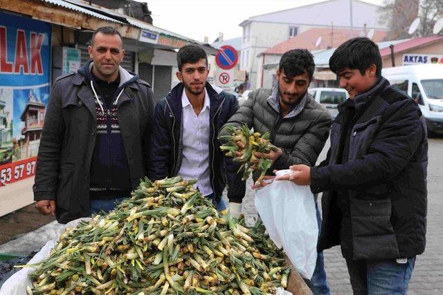 Baharın Müjdeleyicisi Gülbahar Bitkisi Çıktı