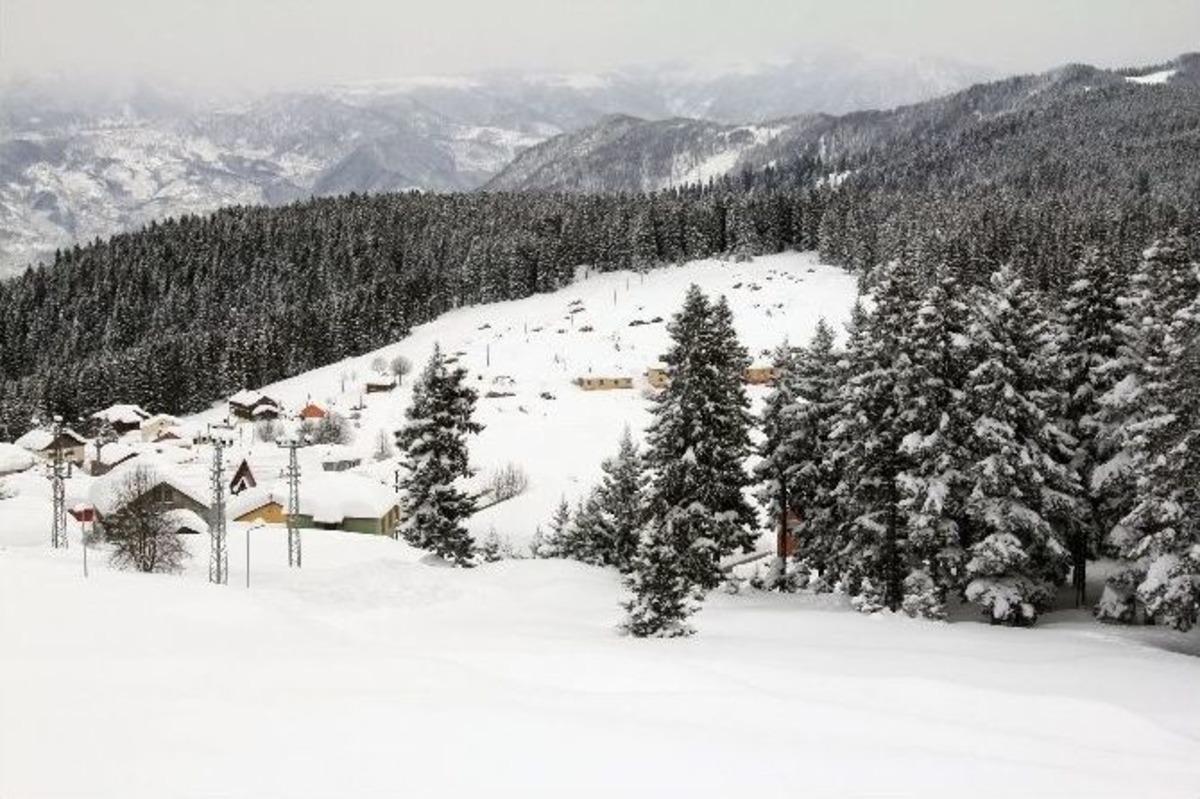 Giresun Yaylalarından Kartpostallık G&ouml;r&uuml;nt&uuml;ler