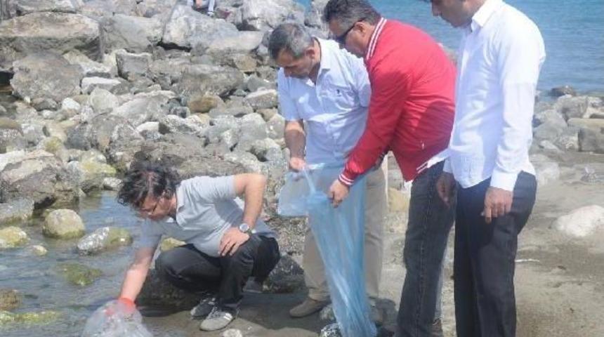 Zehirli Denizanalarına Dikkat