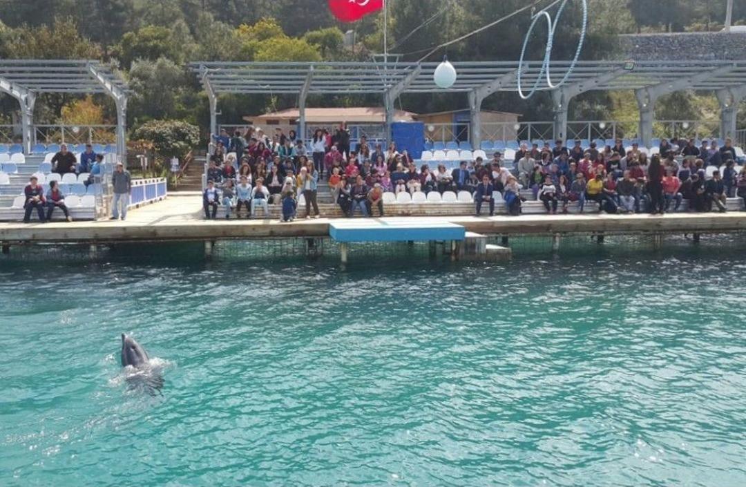 Milas&rsquo;ta Yunuslardan &Ouml;zel Bireylere &Ouml;zel G&ouml;steri