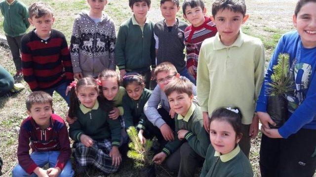 Cumhuriyet İlkokulunda Fidan Dikim Etkinliği 1