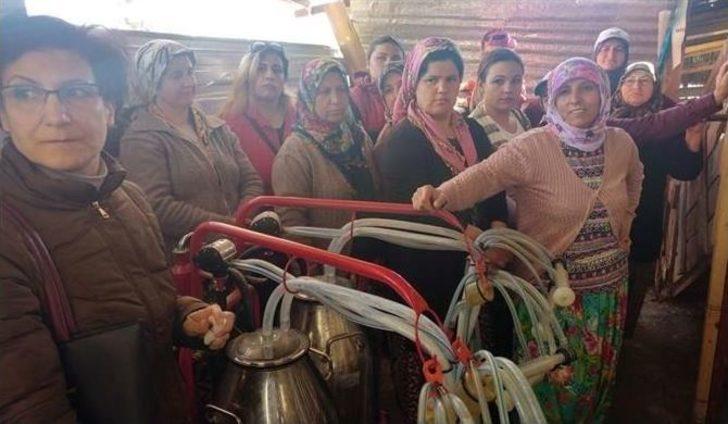 Aşağıokçular Ve Dümrek Köylerinde ‘süt Hijyeni Kursu’ Açıldı G1