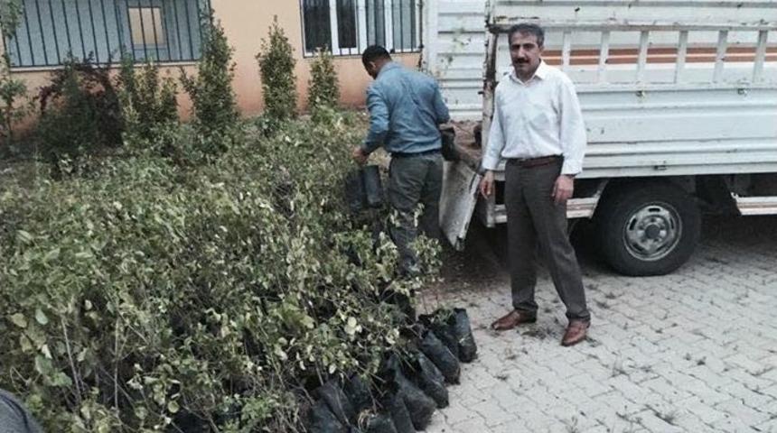 Gercüş’te 27 Bin 400 Adet Fidan Toprakla Buluştu