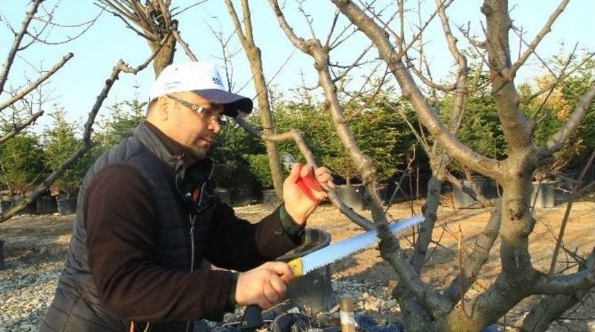 B&uuml;y&uuml;kşehir&rsquo;den Doğru Budama Konusunda Bilgilendirdi