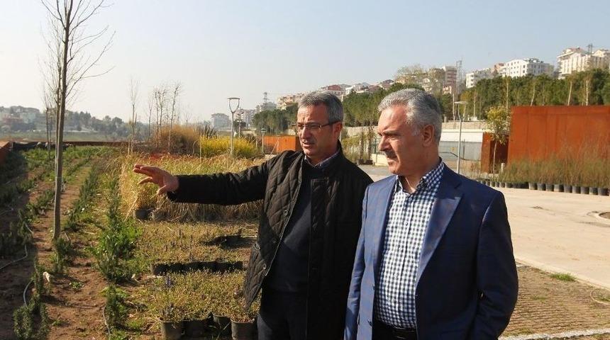 Başkan K&ouml;şker, Ak Parti Genel Başkan Yardımcısı Ataş&rsquo;ı Ağırladı