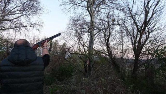 O Leylek Yaşama Tutunamadı 2