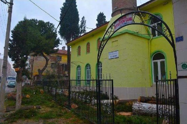 Cami Bah&ccedil;esindeki Ağa&ccedil; Kesimine Tepki 2