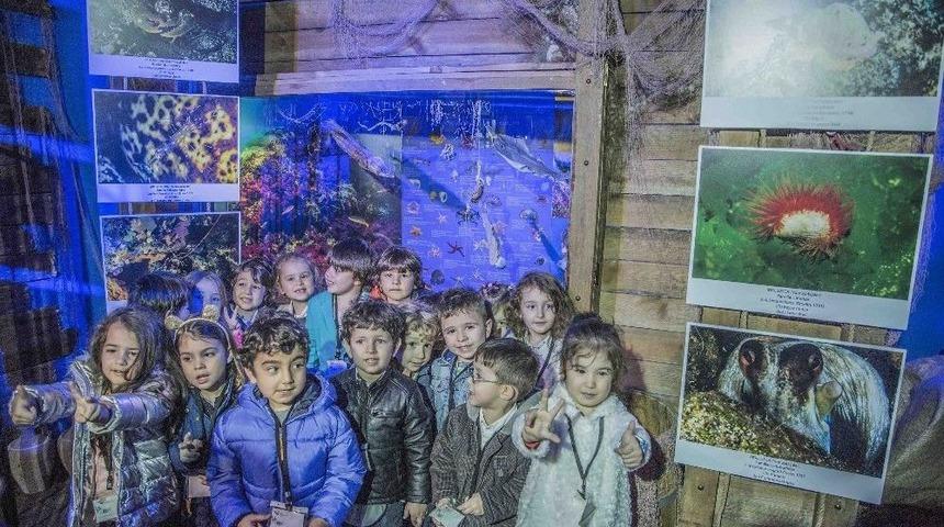 Sualtının B&uuml;y&uuml;l&uuml; D&uuml;nyası Deniz M&uuml;zesi&rsquo;nde