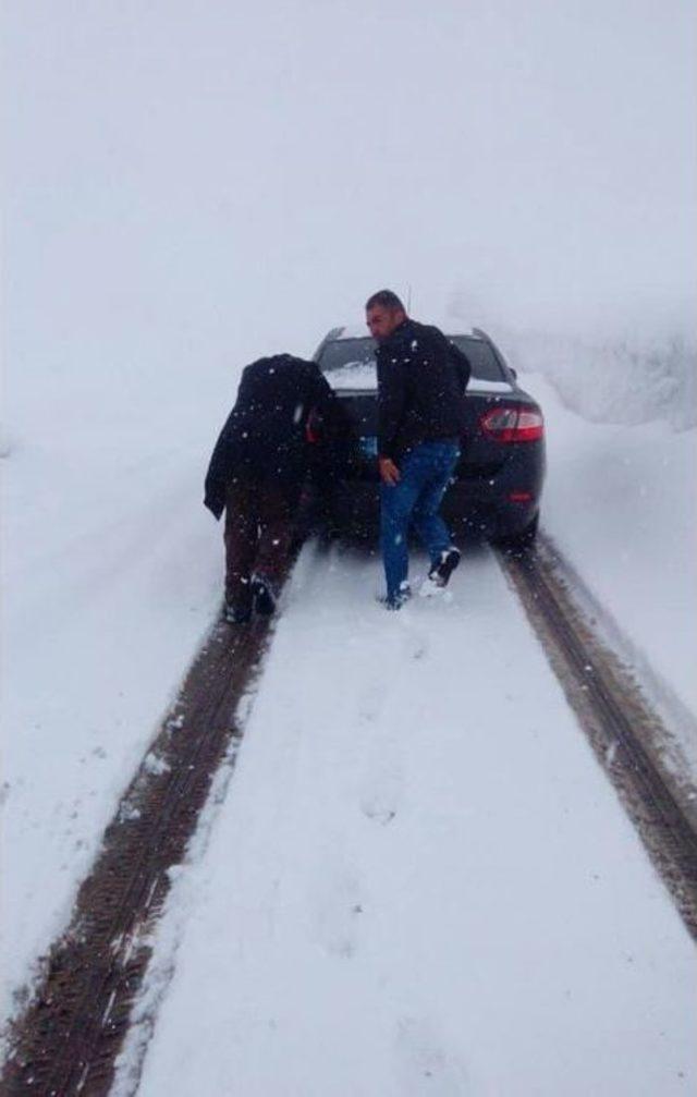 Nisan Ayında Kar Şaşkınlığı 1