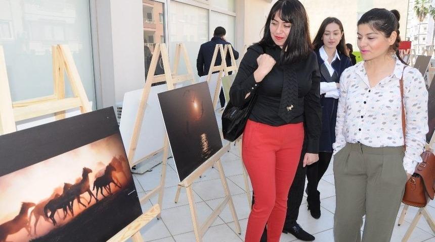 Mersin Barosu Erdemli&rsquo;de Fotoğraf Sergisi A&ccedil;tı
