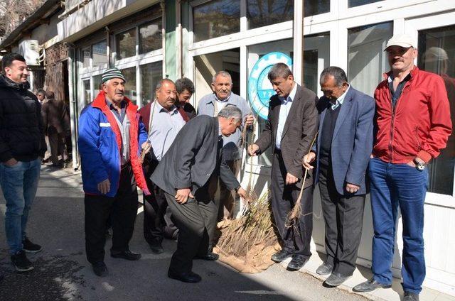 B&uuml;y&uuml;kşehir Darende&rsquo;de Fidan Dağıttı 1