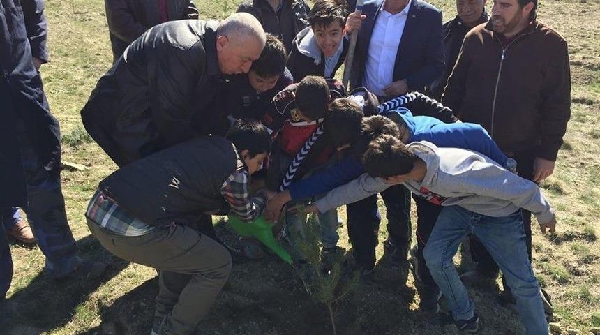 Başkan Duruay Vatandaşlarla Fidan Dikti