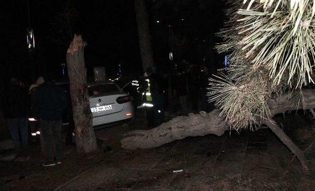 Elazığ’da Trafik Kazası: 2 Yaralı