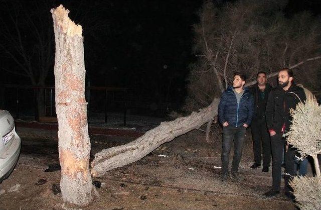 Elazığ’da Trafik Kazası: 2 Yaralı