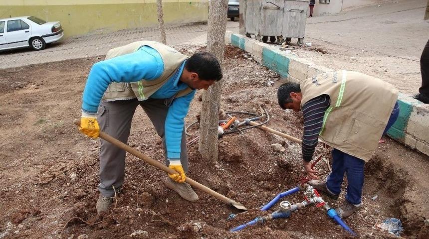 Haliliye&rsquo;deki Parklarda Mevsimsel &Ccedil;alışmalar Devam Ediyor