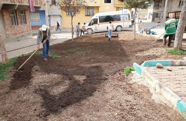 Haliliye’deki Parklarda Mevsimsel Çalışmalar Devam Ediyor