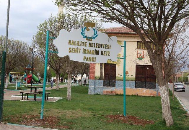 Haliliye’deki Parklarda Mevsimsel Çalışmalar Devam Ediyor