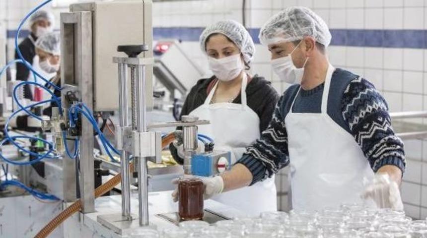 Belediyeden Arıcılara Bal Işleme Tesisi