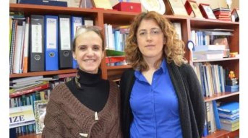 Ev İşlerinde Karşılaşılan Tehlike Ve Riskler Araştırılıyor