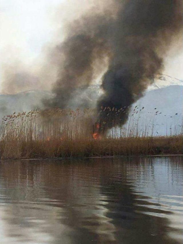 Eber Gölü’ndeki Sazlık Alanda Yangın Çıktı