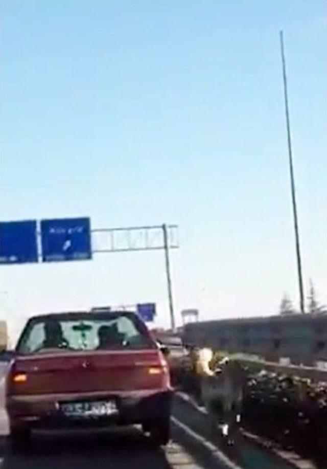 (&ouml;zel Haber) Afyonkarahisar&rsquo;da K&ouml;peğe Akıl Almaz İşkence 1