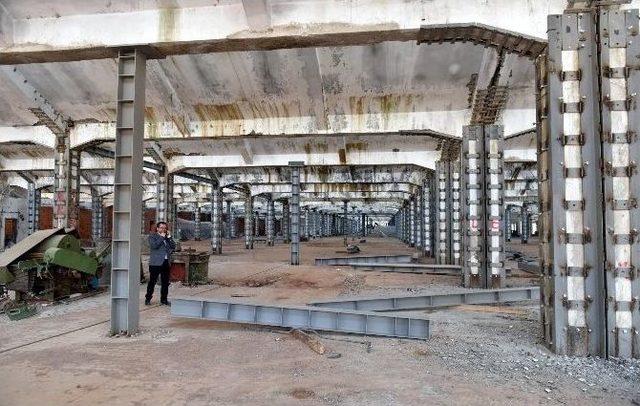 Dokuma Fabrikası Yerleşkesi, M&uuml;zeler Kamp&uuml;s&uuml; Oluyor 1