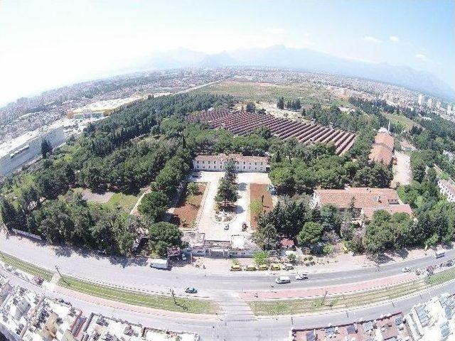 Dokuma Fabrikası Yerleşkesi, M&uuml;zeler Kamp&uuml;s&uuml; Oluyor 2