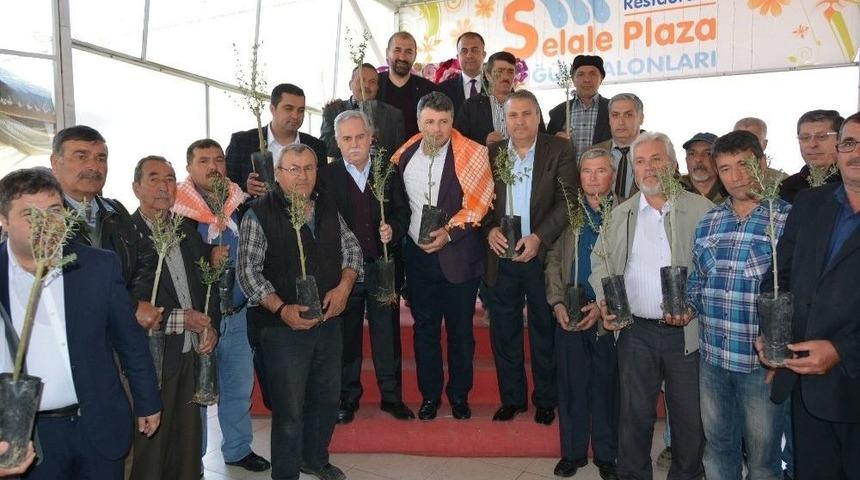 Yunusemre&rsquo;de Zeytin &Uuml;retimi Artacak