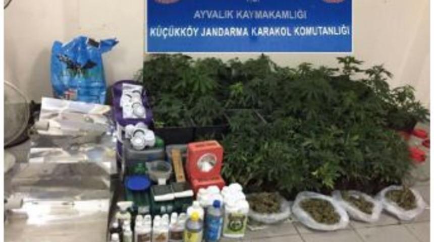 Evde Hintkeneviri Yetiştirince G&ouml;zaltına Alındı