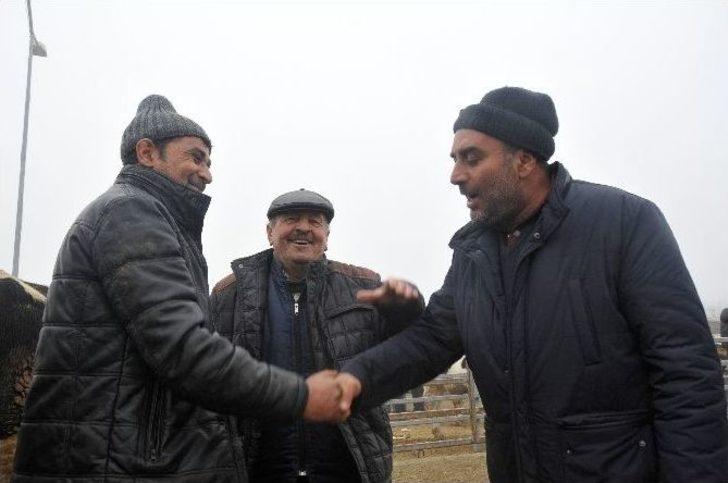 Trakya’nın Holstein Süt İneği Türkiye’nin Her Bölgesinden Talep Görüyor G5