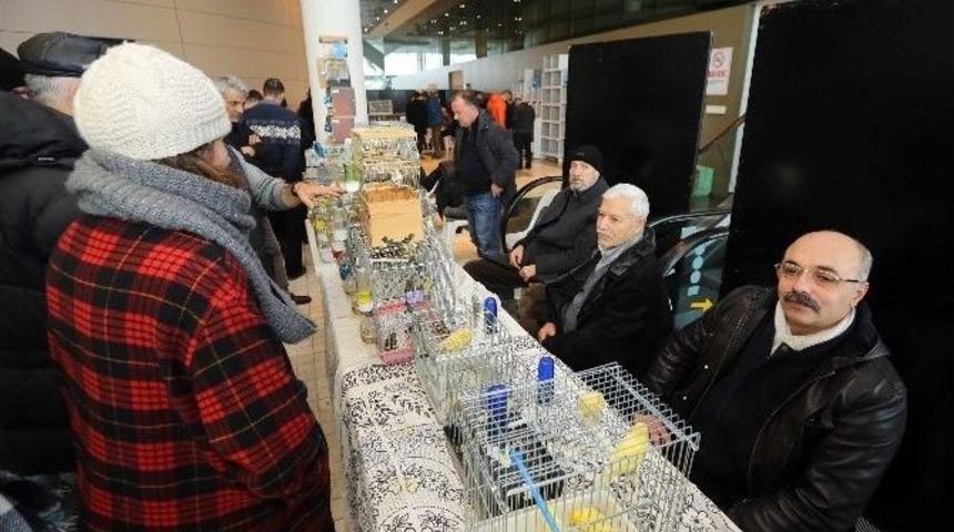 Yenimahalle&rsquo;de Kuş Borsası&rsquo;na Yoğun İlgi