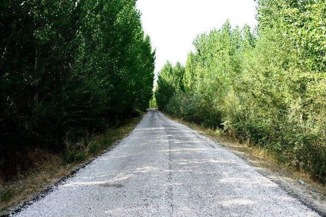 Büyükşehir Belediyesi 2016 Yılında 923 Km Yolu Asfaltladı