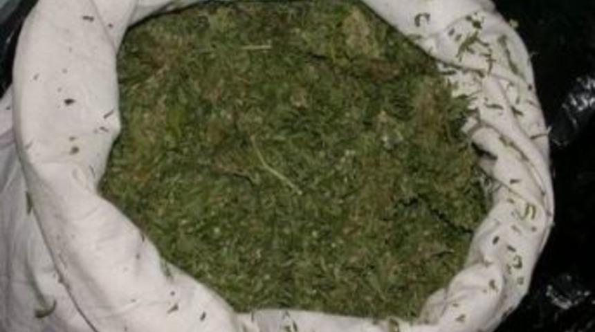 Burhaniye&rsquo;de 3 Uyuşturucu Satıcısı Yakalandı