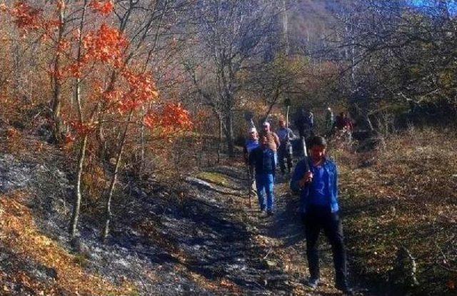 Çorum’Da Orman Yangını Korkuttu