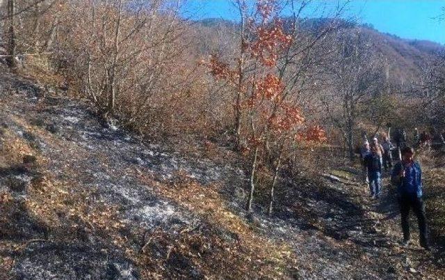 Çorum’Da Orman Yangını Korkuttu