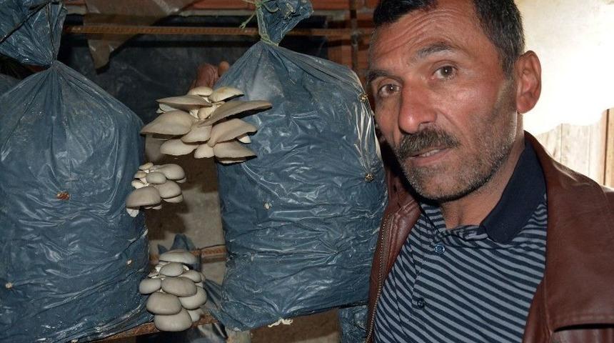 Ek Gelir Olsun Diye Başladı, Şimdi Para Basıyor