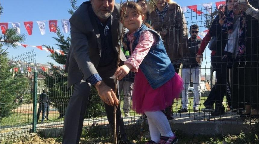 Otizme Farkındalık Oluşturmak İ&ccedil;in Fidan Diktiler